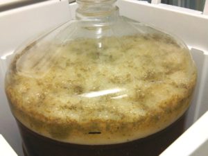 Yeast in Fermentation